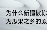 为什么新疆被称为瓜果之乡 新疆被称为瓜果之乡的原因