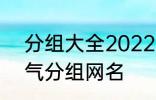 分组大全2022最新版的 高冷二字霸气分组网名