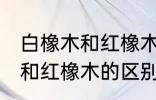 白橡木和红橡木的区别是什么 白橡木和红橡木的区别介绍