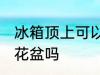 冰箱顶上可以放花盆吗 冰箱顶上能放花盆吗