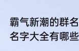 霸气新潮的群名字大全 霸气新潮的群名字大全有哪些