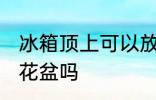 冰箱顶上可以放花盆吗 冰箱顶上能放花盆吗