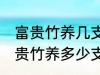 富贵竹养几支最旺运办公室 办公室富贵竹养多少支最旺运