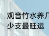 观音竹水养几支最旺运 观音竹水养多少支最旺运