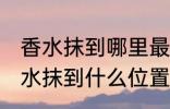 香水抹到哪里最好最能散发出香味 香水抹到什么位置最好最能散发出香味