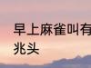 早上麻雀叫有什么兆头 早上麻雀叫的兆头