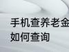 手机查养老金怎么查询 手机查养老金如何查询