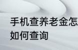 手机查养老金怎么查询 手机查养老金如何查询