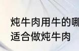 炖牛肉用牛的哪个部分 哪个位置的肉适合做炖牛肉