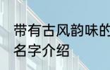 带有古风韵味的名字 带有古风韵味的名字介绍