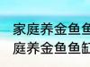 家庭养金鱼鱼缸里放什么水草好呢 家庭养金鱼鱼缸里放哪种水草好呢