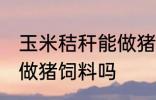 玉米秸秆能做猪饲料吗 玉米秸秆可以做猪饲料吗