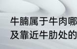 牛腩属于牛肉哪个部位 牛腩即牛腹部及靠近牛肋处的松软肌肉对吗