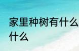 家里种树有什么讲究 家宅种树要注意什么