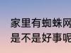 家里有蜘蛛网好事坏事 家里有蜘蛛网是不是好事呢