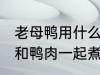 老母鸭用什么煲汤最好 哪些食物可以和鸭肉一起煮汤