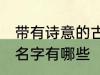 带有诗意的古风名字 带有诗意的古风名字有哪些