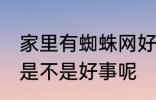 家里有蜘蛛网好事坏事 家里有蜘蛛网是不是好事呢