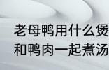 老母鸭用什么煲汤最好 哪些食物可以和鸭肉一起煮汤