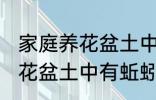 家庭养花盆土中有蚯蚓怎么办 家庭养花盆土中有蚯蚓的解决方法