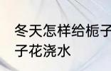 冬天怎样给栀子花浇水 冬天如何给栀子花浇水